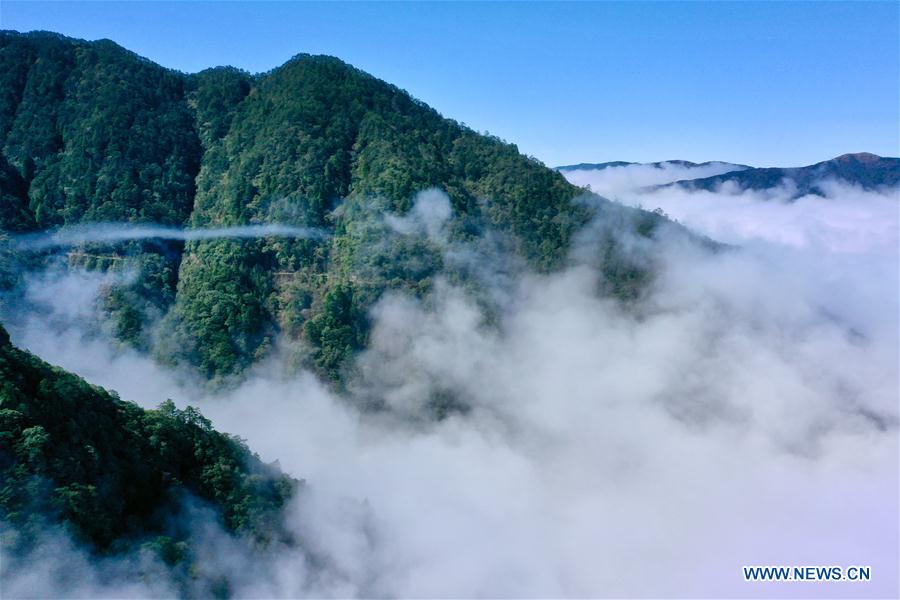 CHINA-FUJIAN-WUYISHAN NATIONAL PARK-SCENERY (CN)