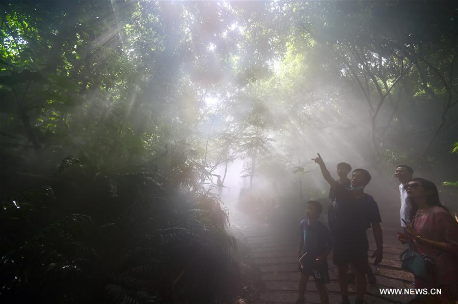 CHINA-FUJIAN-XIAMEN BOTANICAL GARDEN (CN)