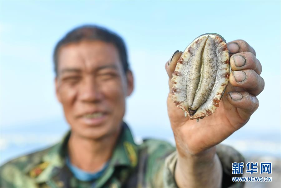 （脱贫攻坚）（2）福建霞浦：结对帮扶助力脱贫攻坚