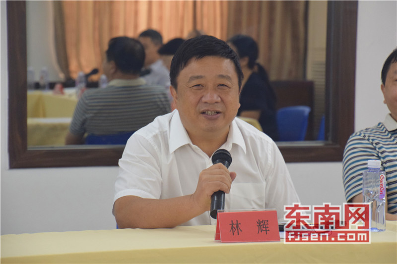 福州市琴声电子有限公司董事长林辉发言