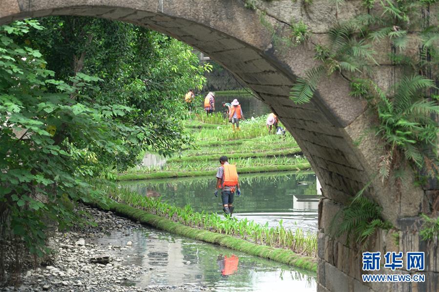 （生态）（1）福州：构建内河水系生态修复链提升河水自净能力