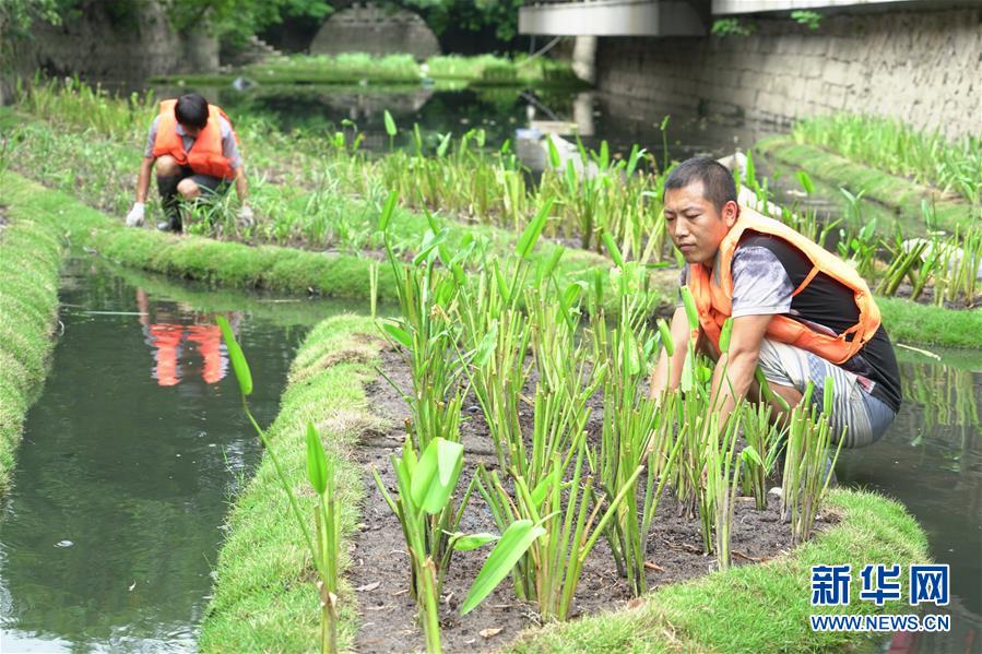 （生态）（4）福州：构建内河水系生态修复链提升河水自净能力