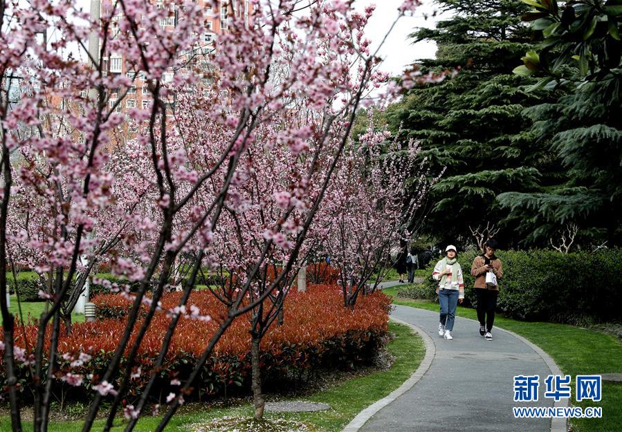 （城市绿道建设·图文互动）（1）上海城市绿道：“家门口”的绿色，钢筋水泥中的“生态密码”