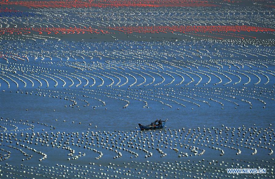 CHINA-FUJIAN-LIANJIANG-AQUACULTURE (CN)
