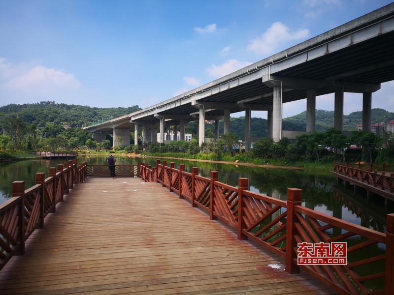 荒废的桥下空地 打造出漳州龙海最大的湿地公园